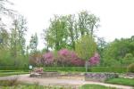 2013 05 03 versailles 080